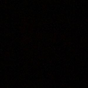 Meet your Posher, Chase